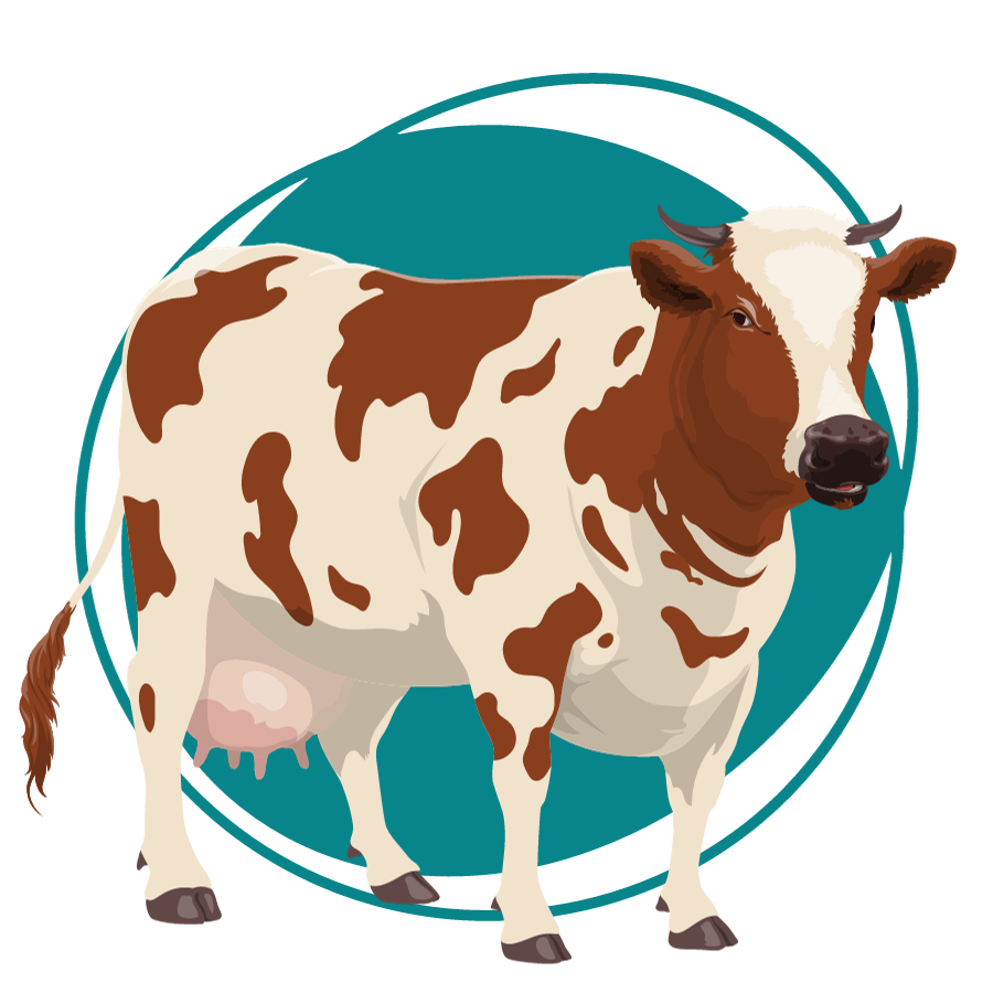 a cow with horns and a circle